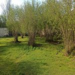 Satılır 4 otaqlı Həyət evi/villa Qəbələ 5