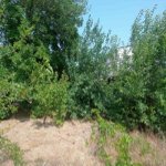 Satılır 4 otaqlı Həyət evi/villa Sumqayıt 5