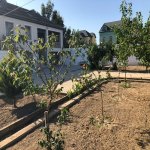 Kirayə (aylıq) 4 otaqlı Bağ evi, Mərdəkan, Xəzər rayonu 6