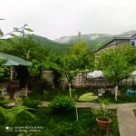 Kirayə (günlük) 3 otaqlı Həyət evi/villa Qax 2