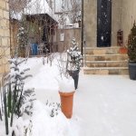 Kirayə (günlük) 4 otaqlı Həyət evi/villa Qusar 31