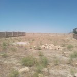 Satılır Torpaq, Masazır, Abşeron rayonu 15