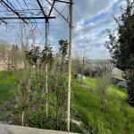Satılır 5 otaqlı Həyət evi/villa Şamaxı 1