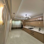 Kirayə (aylıq) 4 otaqlı Yeni Tikili, Gənclik metrosu, Nəsimi rayonu 22
