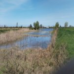 Продажа Участок Хачмаз 68