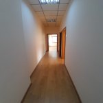 Kirayə (aylıq) 6 otaqlı Ofis, Sahil metrosu, Nəsimi rayonu 31