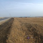 Satılır Torpaq, Saray, Abşeron rayonu 7