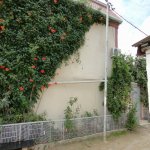 Продажа 5 комнат Дома/Виллы, м. Короглу метро, пос. Сабунчу, Сабунчу район 4