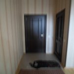 Satılır 3 otaqlı Həyət evi/villa, Binəqədi qəs., Binəqədi rayonu 18