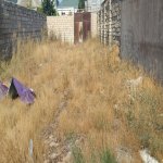 Satılır Torpaq, Binə qəs., Xəzər rayonu 4