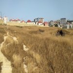 Satılır Torpaq, Masazır, Abşeron rayonu 10