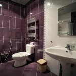 Kirayə (aylıq) 2 otaqlı Yeni Tikili, Gənclik metrosu, Heydər Əliyev Mərkəzi, Nərimanov rayonu 10