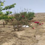 Satılır 4 otaqlı Həyət evi/villa, Qobu, Abşeron rayonu 5