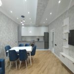 Аренда 2 комнатная Новостройка, м. 28 Мая метро, Насими район 11