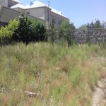 Satılır Torpaq, Koroğlu metrosu, Yeni Ramana, Sabunçu rayonu 8