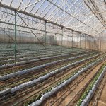 Продажа Участок, Зиря, Хязяр район 1