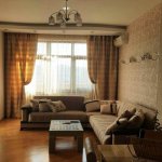 Kirayə (aylıq) 2 otaqlı Yeni Tikili, 28 May metrosu, Nəsimi rayonu 8