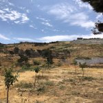 Satılır Torpaq, Badamdar qəs., Səbail rayonu 9