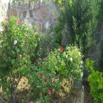 Kirayə (aylıq) 5 otaqlı Bağ evi, Fatmayi, Abşeron rayonu 9