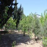 Satılır 10 otaqlı Bağ evi, Maştağa qəs., Sabunçu rayonu 26