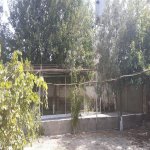 Satılır 4 otaqlı Bağ evi, Koroğlu metrosu, Novxanı, Abşeron rayonu 11