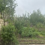 Продажа Участок, пос. Локбатан, 28 Малл, Гарадаг район 16