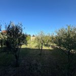 Satılır Torpaq, Şüvəlan, Xəzər rayonu 8