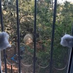 Satılır 2 otaqlı Köhnə Tikili, Əhmədli metrosu, Köhnə Günəşli qəs., Xətai rayonu 13