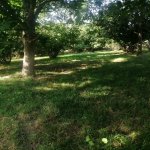 Продажа Участок Гябяля 1