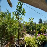 Satılır 5 otaqlı Həyət evi/villa, Buzovna, Xəzər rayonu 6