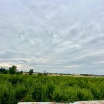 Продажа Объект Шабран 12