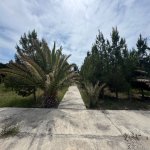 Satılır Torpaq, Şüvəlan, Xəzər rayonu 12