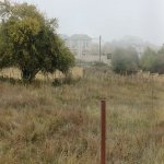 Satılır Torpaq Şamaxı 3