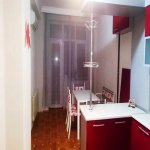 Kirayə (aylıq) 3 otaqlı Yeni Tikili, Gənclik metrosu, Nəsimi rayonu 7