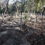 Satılır Torpaq, Avtovağzal metrosu, Sulutəpə qəs., Binəqədi rayonu 21