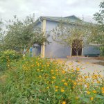 Kirayə (günlük) 4 otaqlı Həyət evi/villa İsmayıllı 1