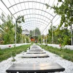 Satılır Torpaq, Novxanı, Abşeron rayonu 1