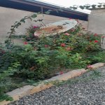 Satılır 1 otaqlı Həyət evi/villa, Avtovağzal metrosu, Biləcəri qəs., Binəqədi rayonu 14