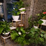 Продажа 3 комнат Новостройка, м. Ахмедли метро, Хетаи район 14