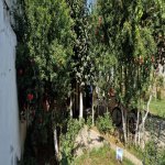 Satılır 4 otaqlı Həyət evi/villa, Avtovağzal metrosu, Biləcəri qəs., Binəqədi rayonu 12