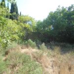 Satılır Torpaq, Badamdar qəs., Səbail rayonu 1