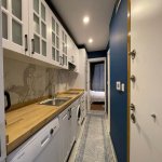 Kirayə (günlük) 2 otaqlı Yeni Tikili, 28 May metrosu, Nəsimi rayonu 12
