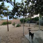 Satılır 5 otaqlı Bağ evi, Qala, Xəzər rayonu 2