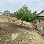 Satılır Torpaq, Novxanı, Abşeron rayonu 16