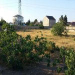 Satılır Torpaq, Qala, Xəzər rayonu 3