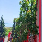 Kirayə (günlük) Mini otel / Xostel Xaçmaz / Nabran 9