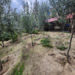 Satılır 11 otaqlı Bağ evi, Novxanı, Abşeron rayonu 53