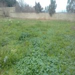 Satılır 6 otaqlı Bağ evi, Nardaran qəs., Sabunçu rayonu 5
