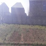 Satılır Torpaq, Maştağa qəs., Sabunçu rayonu 1