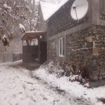 Kirayə (günlük) 2 otaqlı Həyət evi/villa Zaqatala 2